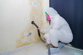 Best Environmental Consulting for Mold Prevention  in Ocala Estates, FL